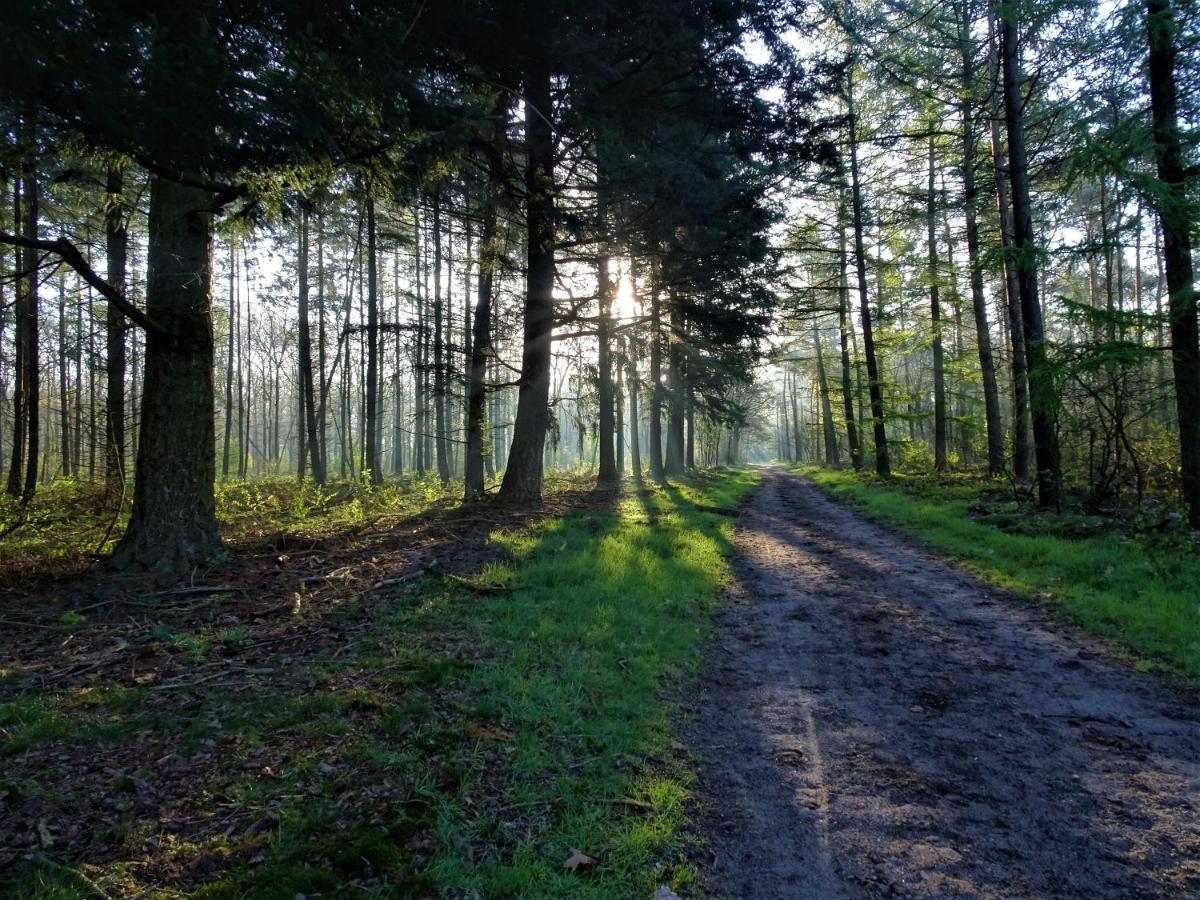 Veluwe Park Reewold Chalet Infinity 푸텐 외부 사진